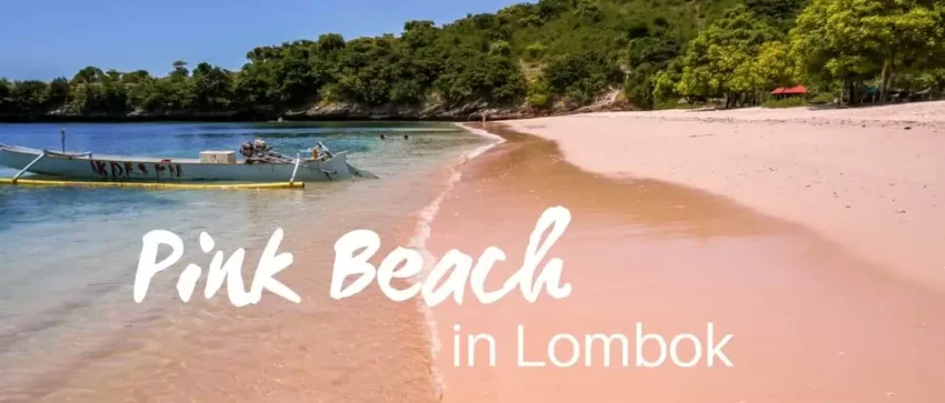 Camping at Pink Beach Lombok: Best Spots & Safety Tips