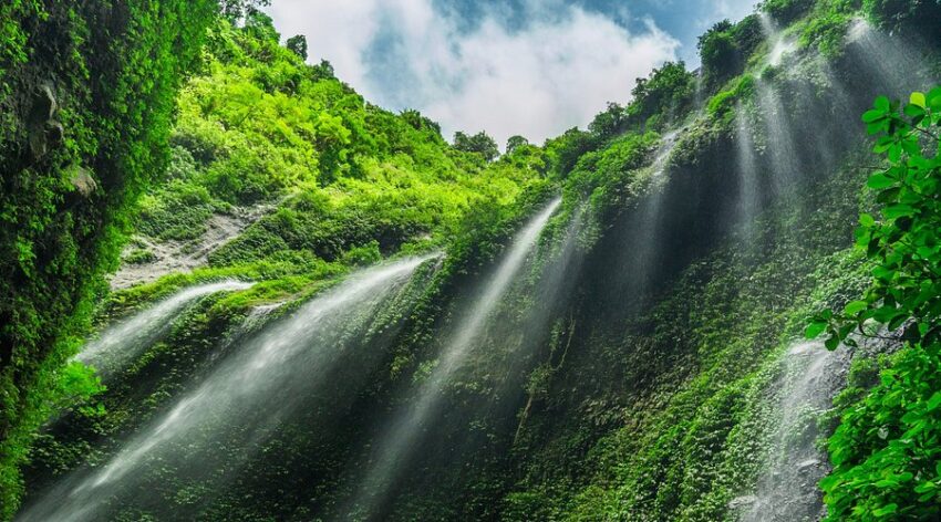 Hiking to Madakaripura Waterfall