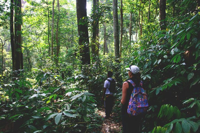 Gunung Leuser trekking