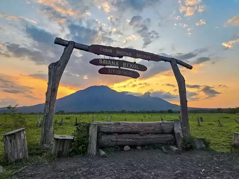 Baluran National Park trekking