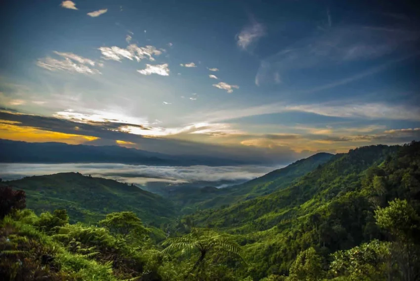 Bukit Barisan forest trekking