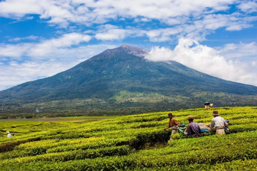 Mount Kerinci expedition
