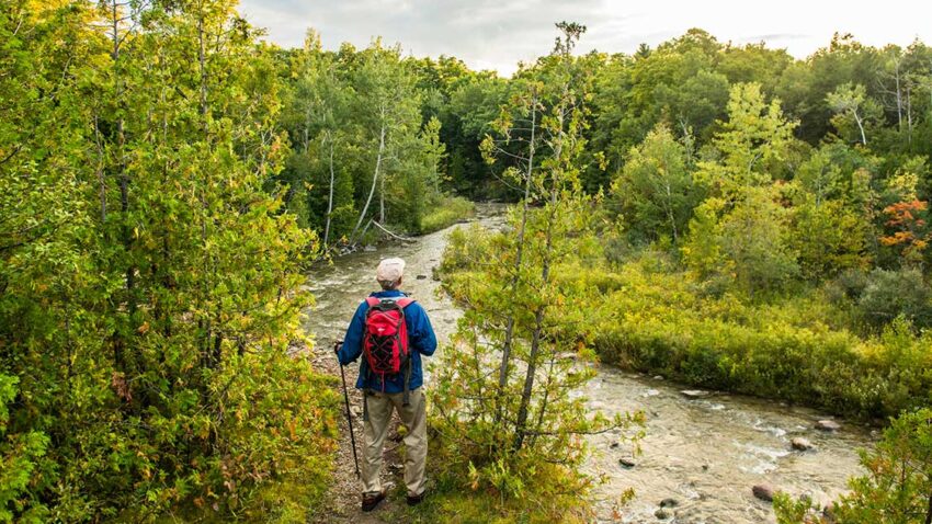 escape the concrete jungle