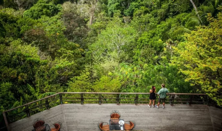 Key Nature Tourism Trends